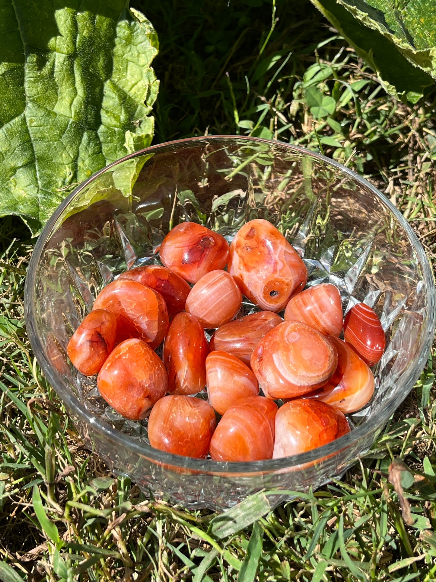 Carnelian Agate Tumble