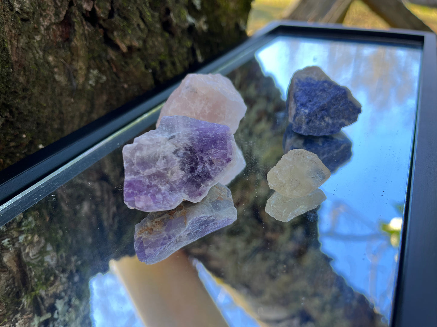 Raw rose quartz, raw amethyst, raw sodalite, and raw clear quartz set on a mirror with part of a tree as the backdrop.