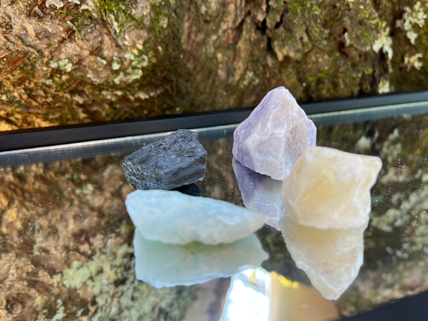 Raw black tourmaline, raw aquamarine, raw amethyst and raw citrine set on a mirror with part of a tree as the backdrop.