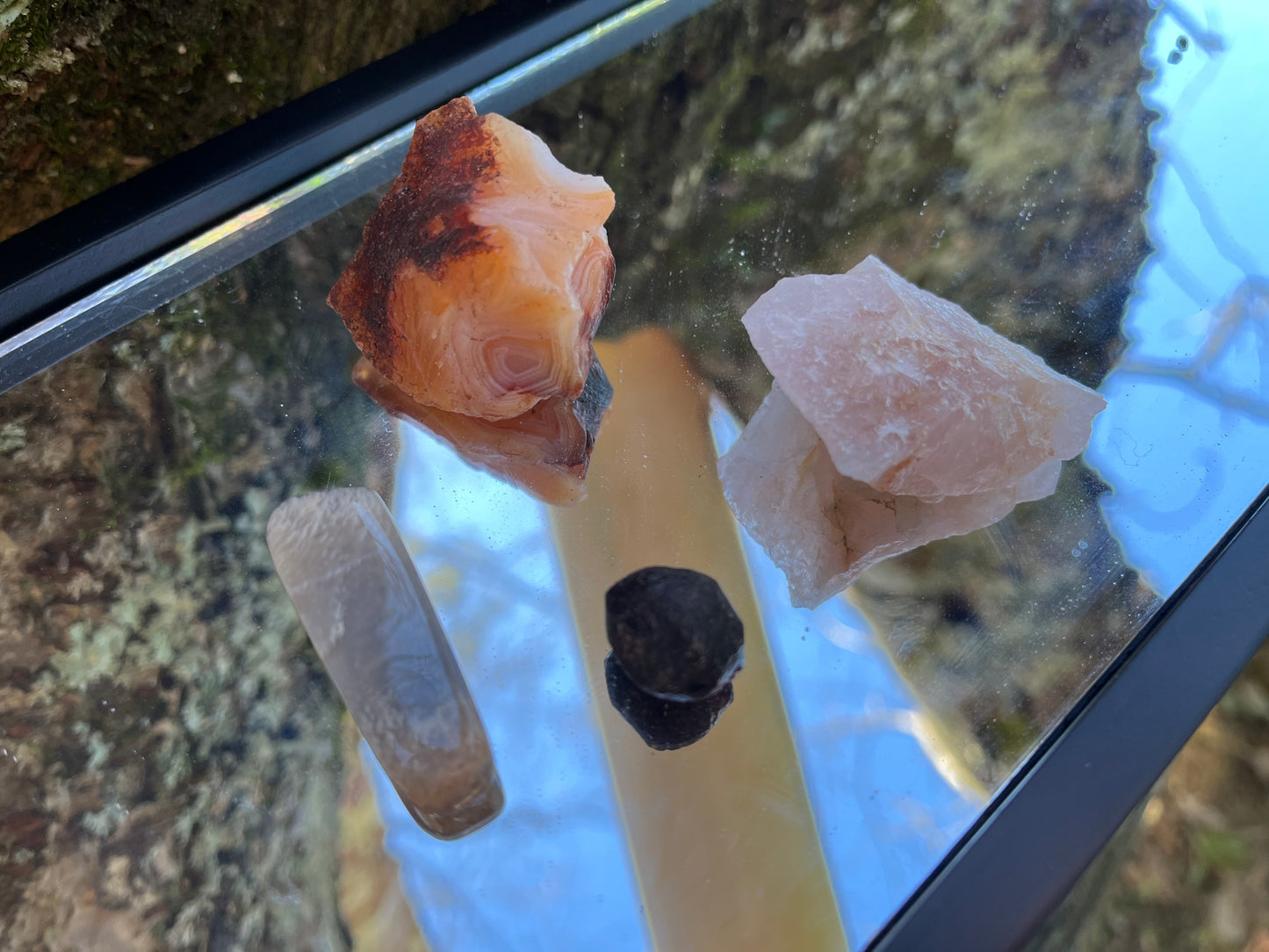 Raw carnelian, raw rose quartz, raw garnet, and tumbled black moonstone set on a mirror with part of a tree as the backdrop.