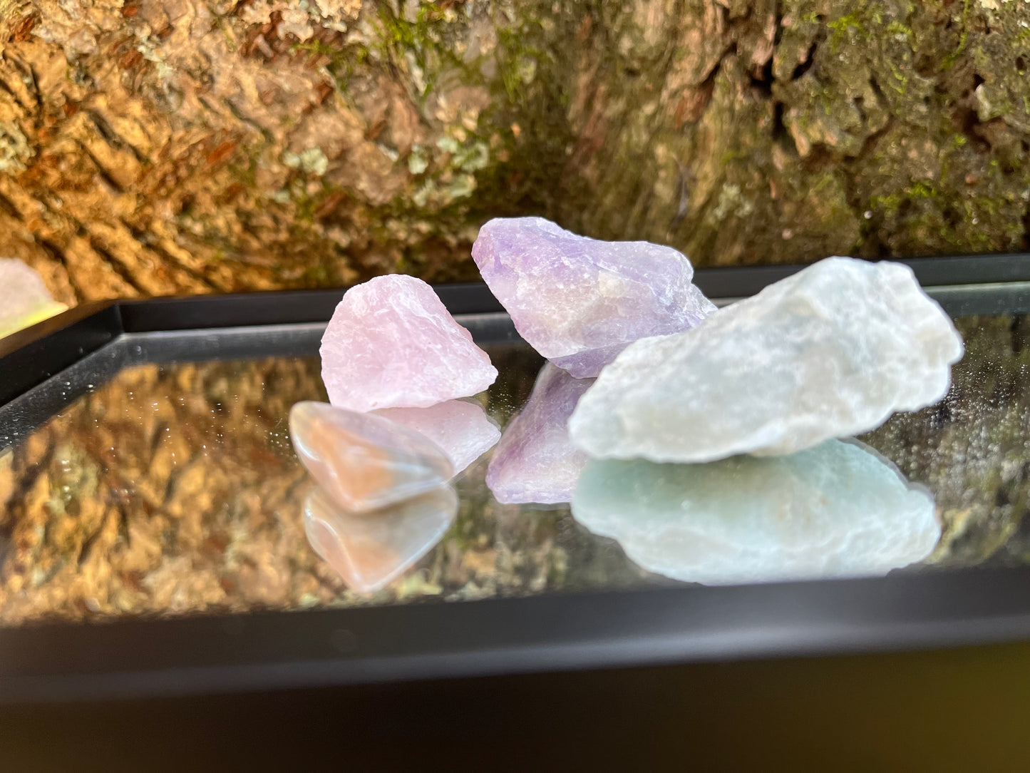 Raw amethyst, raw rose quartz, raw aquamarine, and tumbled black moonstone set on a mirror with part of a tree as the backdrop.