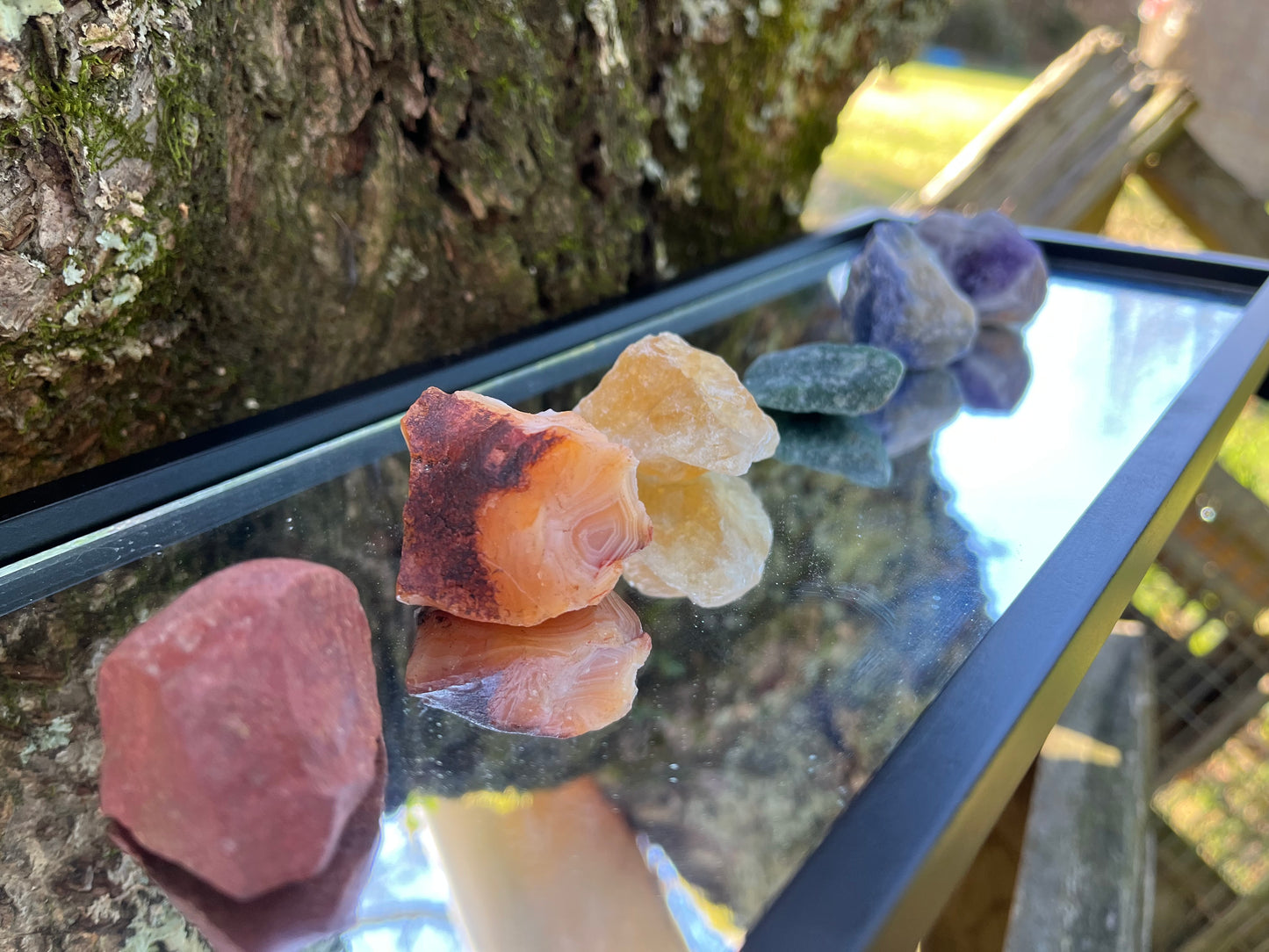 Raw red jasper, raw carnelian, raw citrine, raw green aventurine, raw sodalite, raw amethyst, and raw clear quartz set on a mirror with part of a tree as the backdrop.