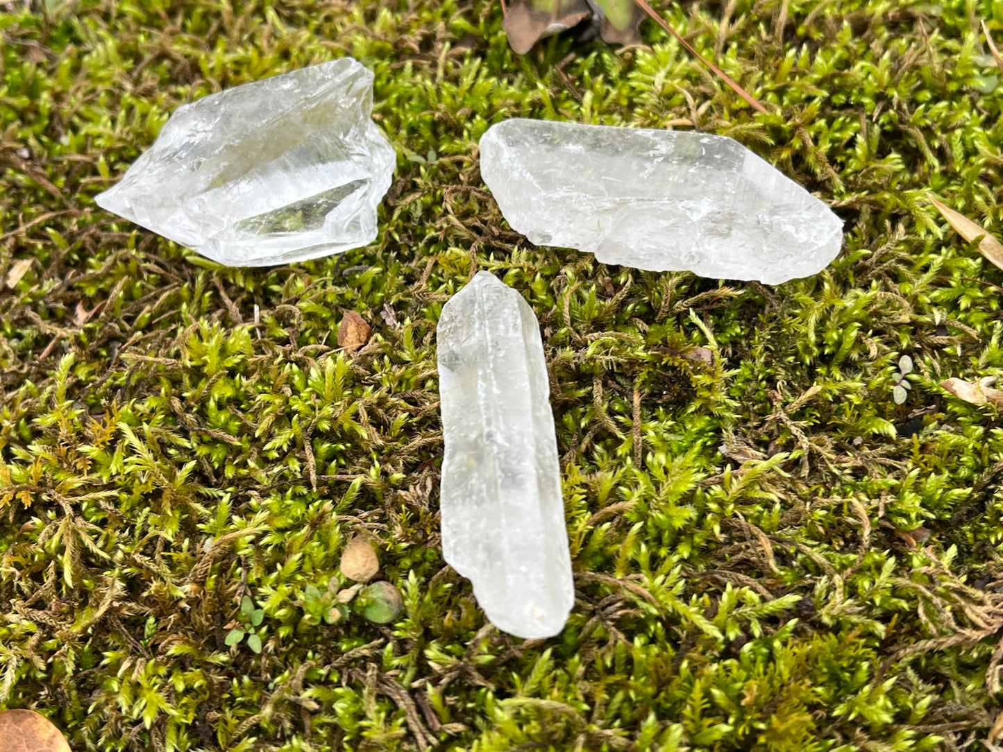Medium Raw Clear Quartz Points