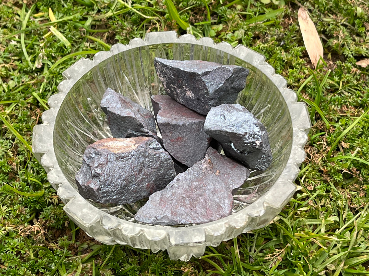 Chunks of raw hematite in a small, round, glass bowl. The bowl is in the grass.