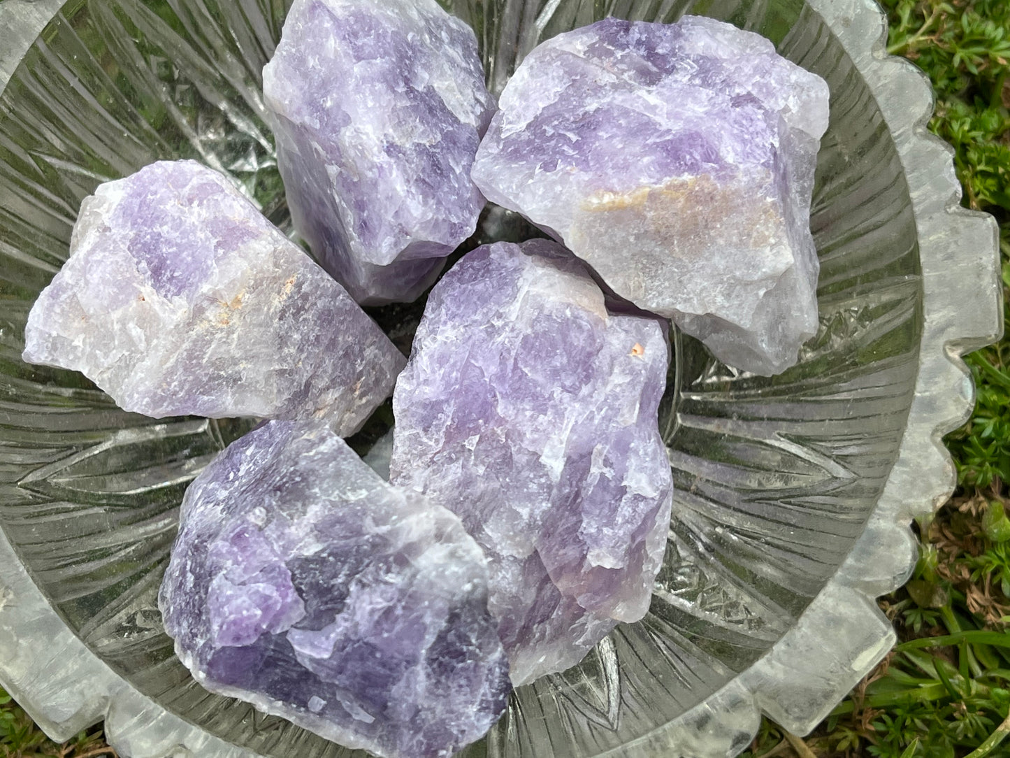 5 pieces of raw amethyst in a small, round, glass bowl. The bowl is sitting on some moss and grass.