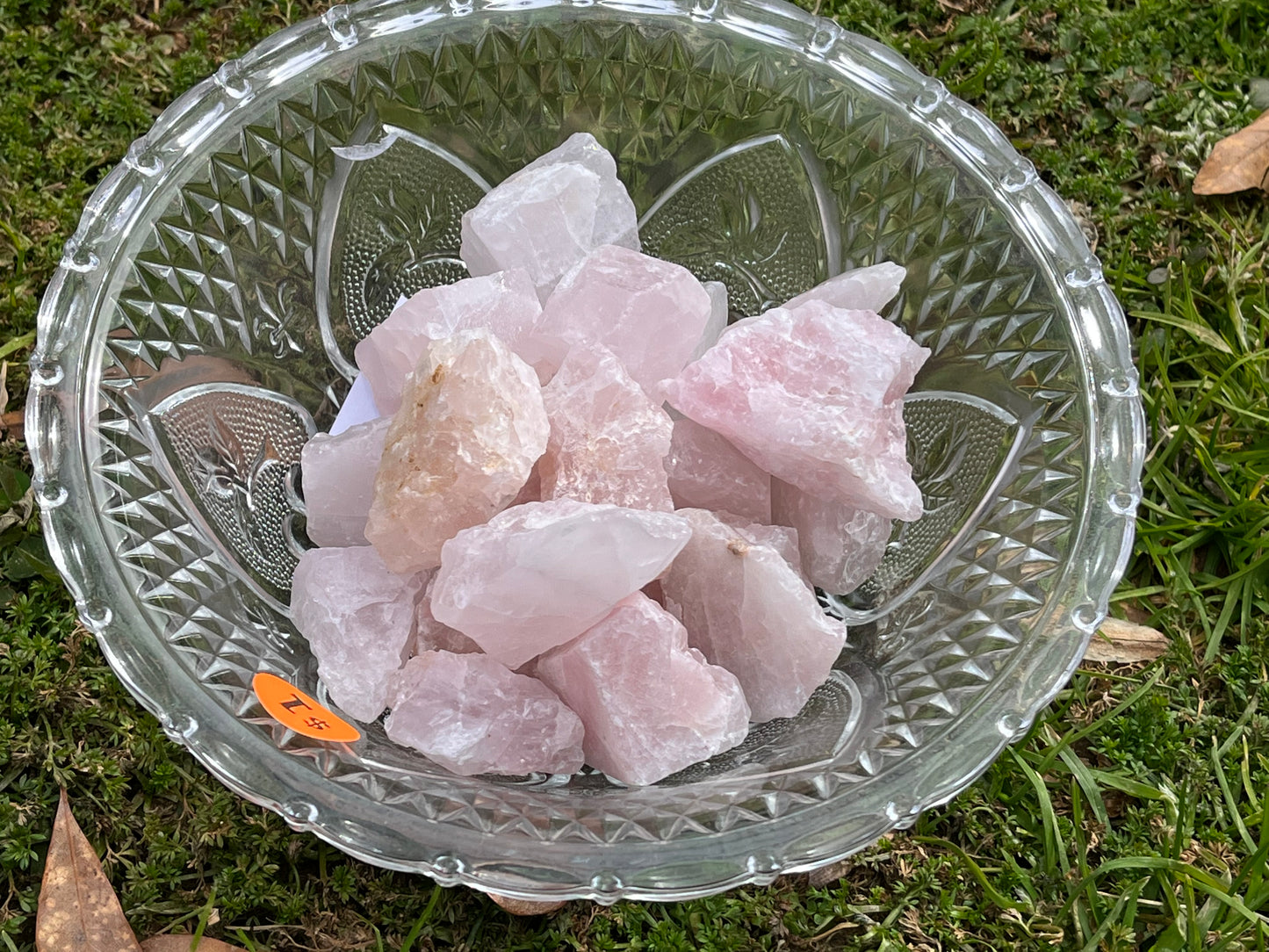 Pieces of raw rose quartz in a round glass bowl. The bowl is set on grass.