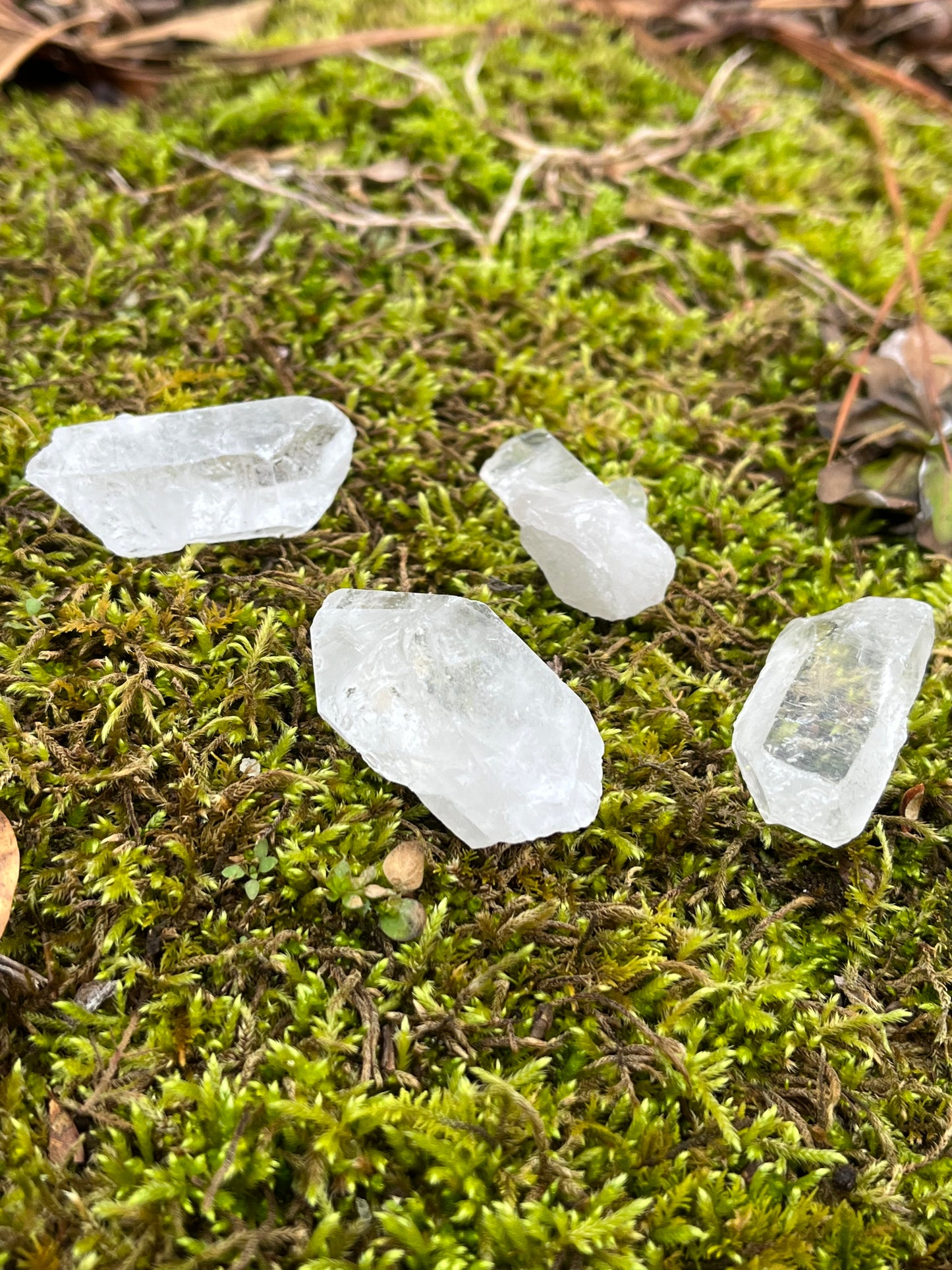 Small Raw Clear Quartz Points