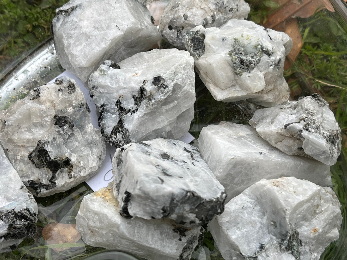 Chunks of raw rainbow moonstone in a heart-shaped glass bowl. The bowl is set on grass.