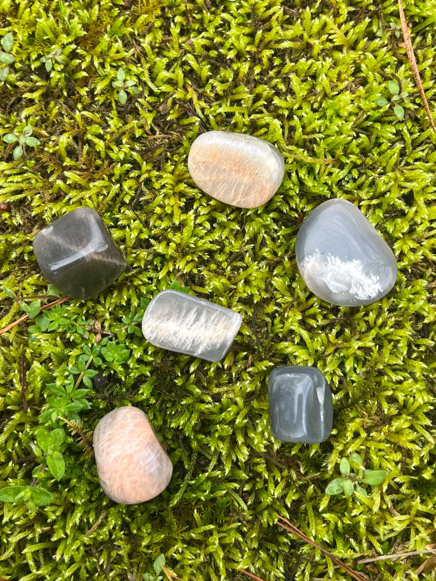 Tumbled Black Moonstone