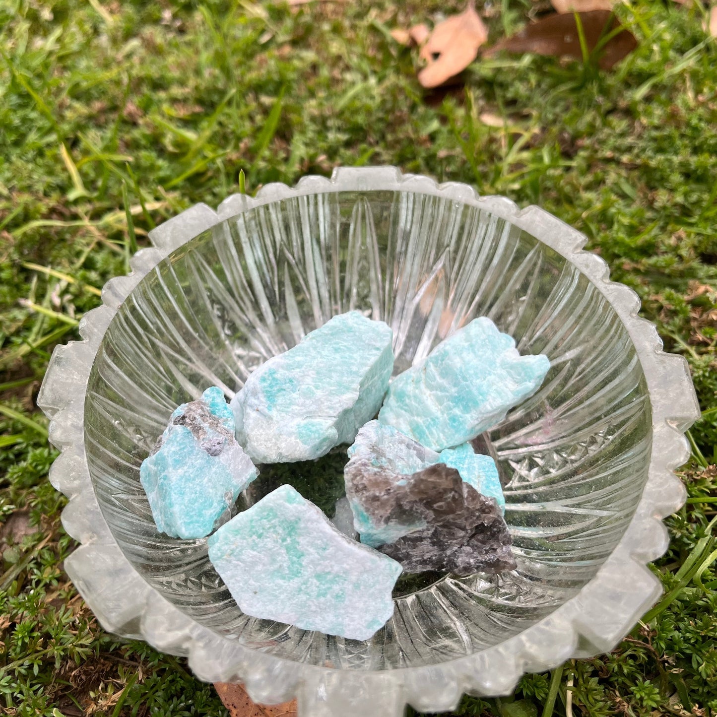 5 pieces of raw amazonite in a small glass bowl. The glass bowl is on moss.