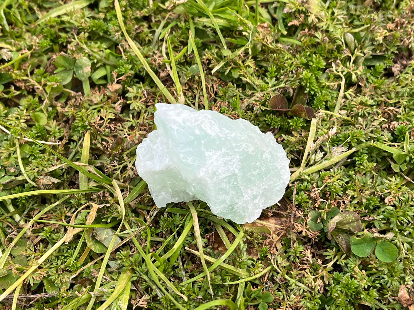 A piece of raw aquamarine set on some grass and moss.