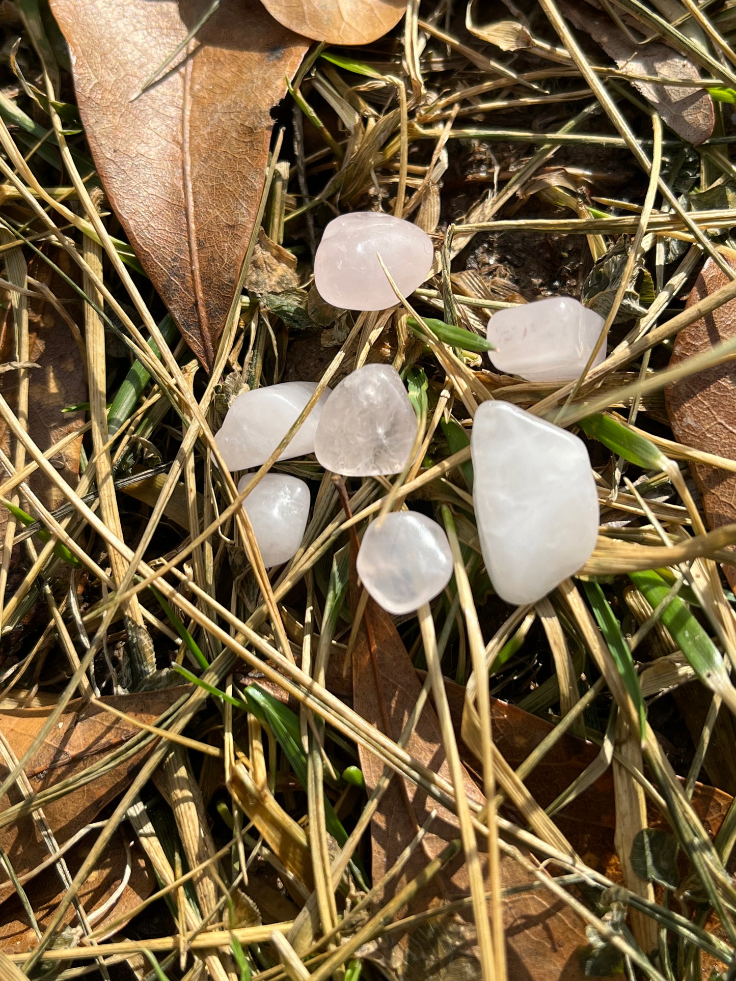 Mini Rose Quartz Tumble