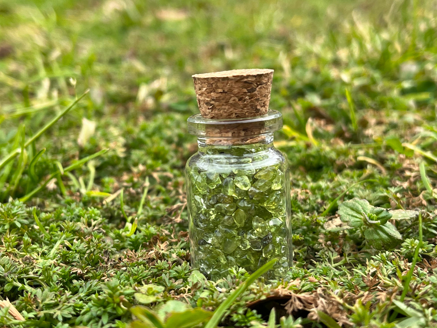 A small glass bottle with a cork stopper, filled with green peridot chips and standing in a patch of moss. The peridot and the moss are similar shades of green and almost blend in with each other.