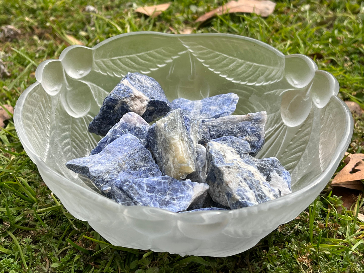 Chunks of raw sodalite in a round, frosted, glass bowl. The bowl is sitting on grass.