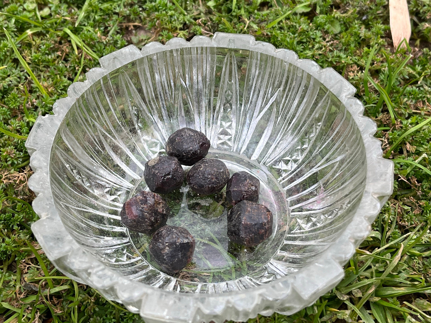 Small, round pieces of raw red garnet in a small, round, glass bowl. The bowl is sitting on grass.