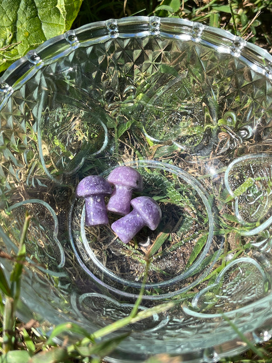 Mini Lepidolite Mushroom