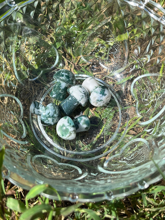 Mini Moss Agate Mushroom