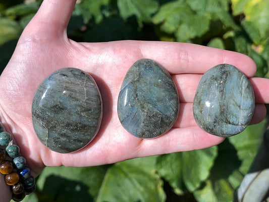 Labradorite Palmstone