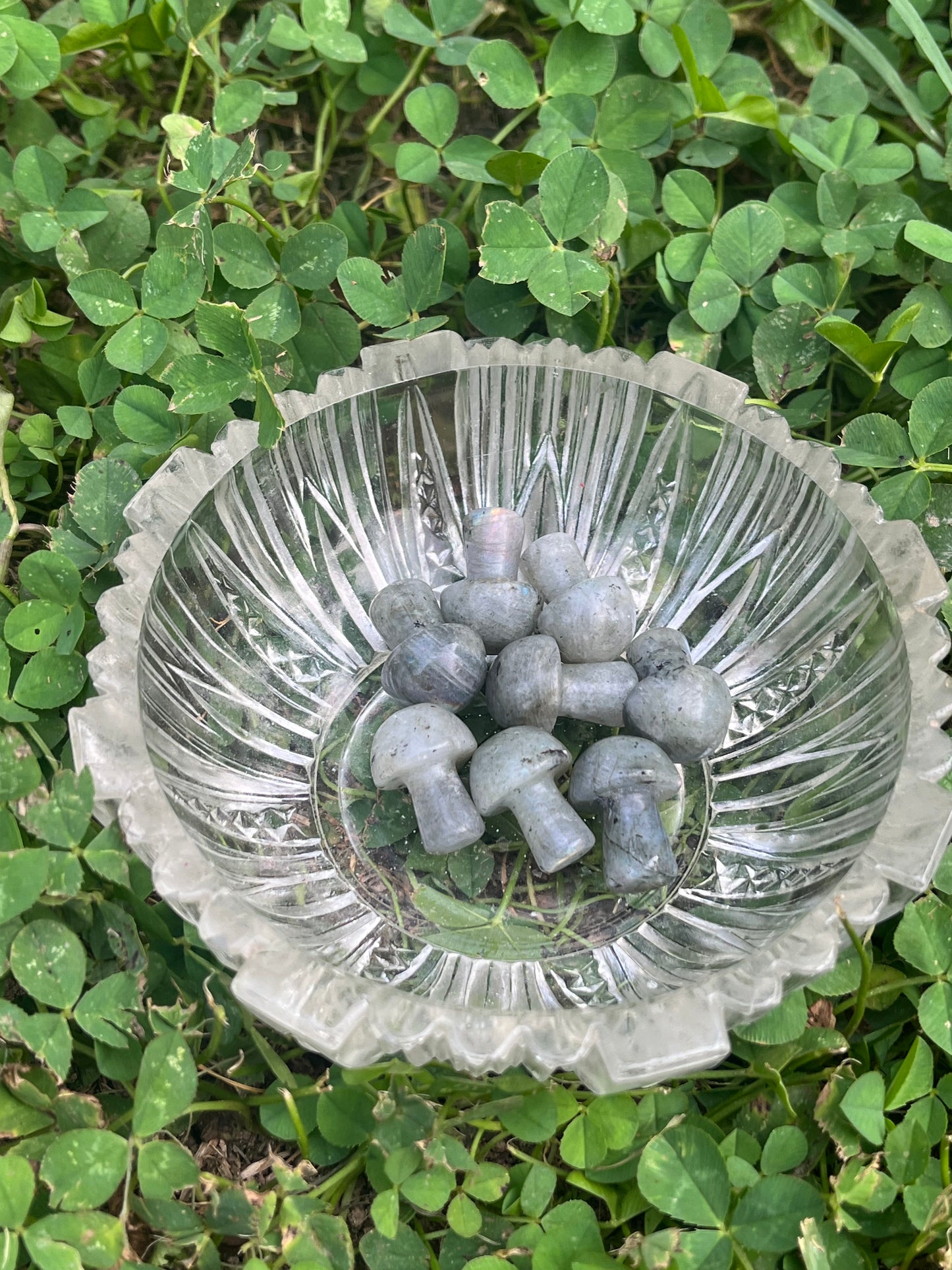 Mini Labradorite Mushroom