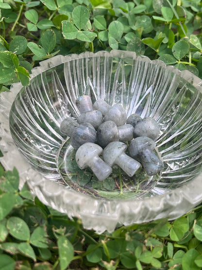 Mini Labradorite Mushroom