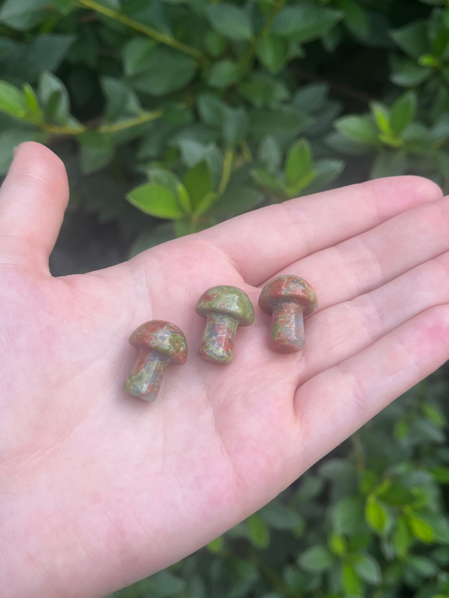 Mini Unakite Mushroom