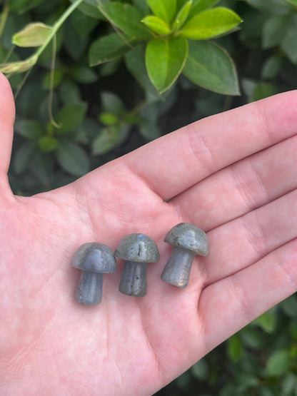 Mini Labradorite Mushroom