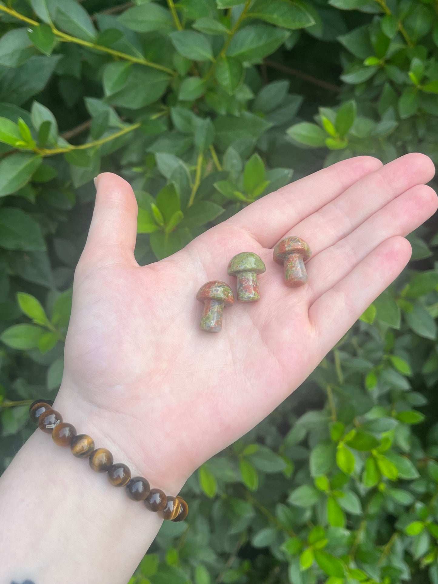 Mini Unakite Mushroom