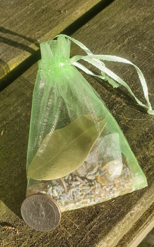 A green organza bag with light green strings filled with crystals and herbs. There is a quarter leaning against part of the bag.