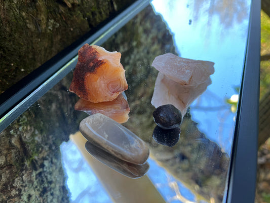 Raw carnelian, raw rose quartz, raw garnet, and tumbled black moonstone set on a mirror with part of a tree as the backdrop.