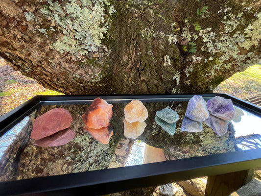 Raw red jasper, raw carnelian, raw citrine, raw green aventurine, raw sodalite, raw amethyst, and raw clear quartz set on a mirror with part of a tree as the backdrop.