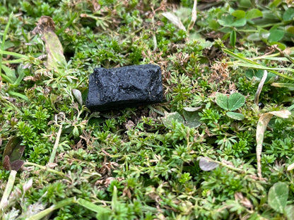 A small piece of raw black tourmaline on a patch of moss with clovers