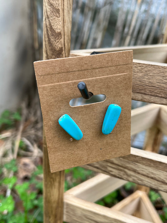 Dyed Howlite Post Earrings