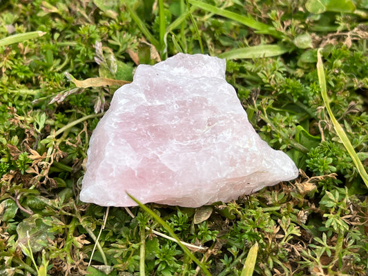 A piece of raw rose quartz on a patch of moss and grass.