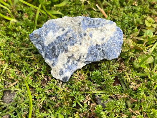 A piece of raw sodalite on a patch of moss.