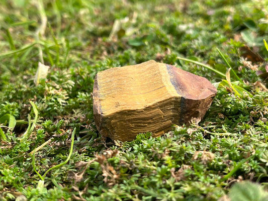 A piece of raw tiger's eye on a patch of moss.