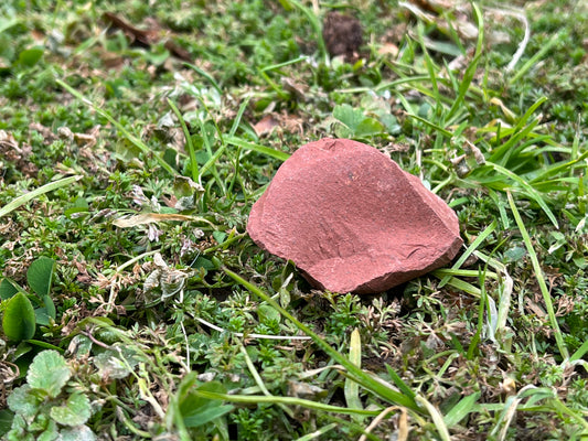 A piece of raw red jasper in some moss and grass.