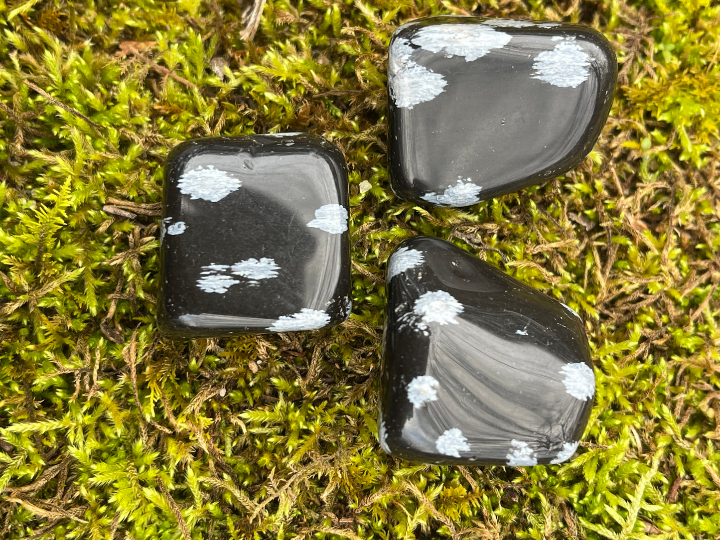 Snowflake Obsidian Tumble