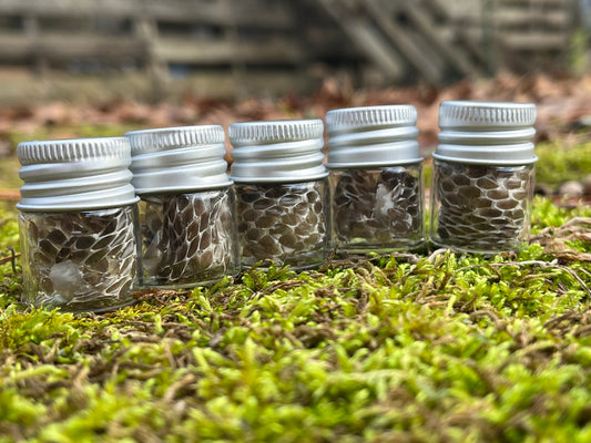 Snake Shed in a Bottle