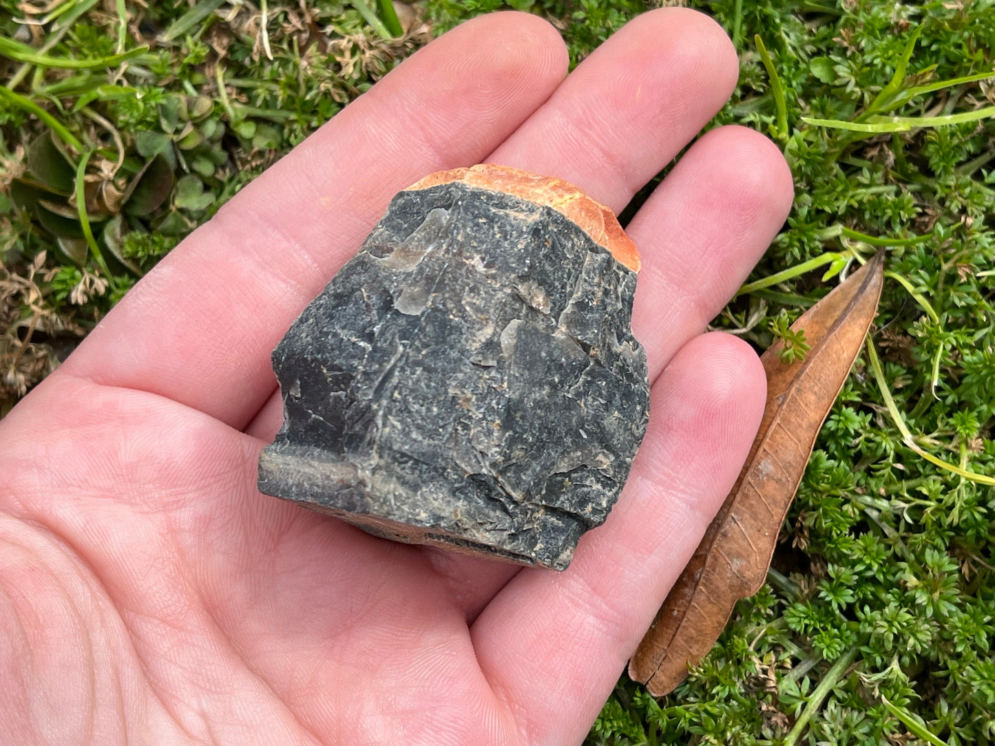 A piece of raw black onyx on a hand to show size. It is about 2 inches wide and 2 inches long.