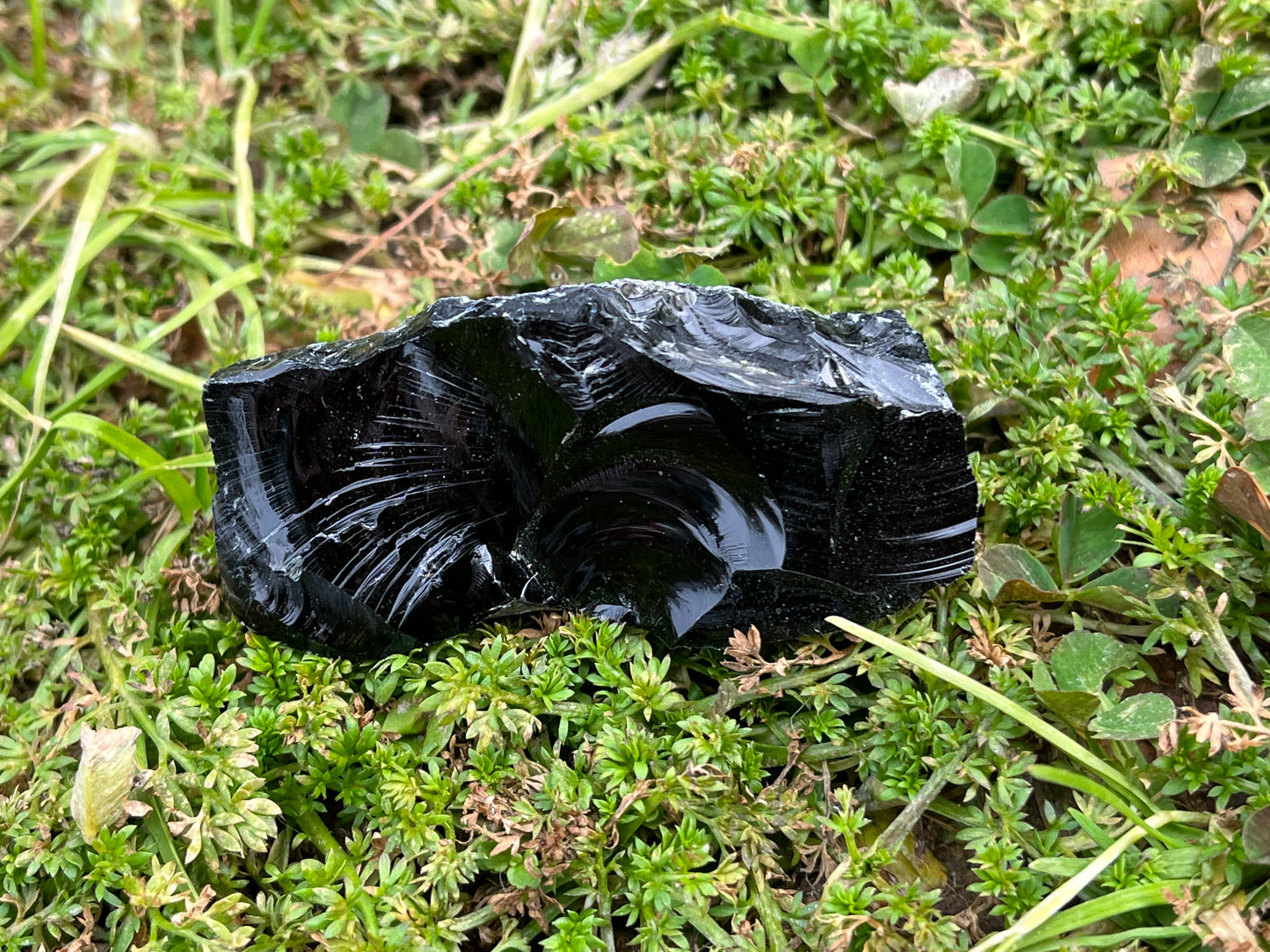 A reflective piece of raw black obsidian set in a patch of moss.