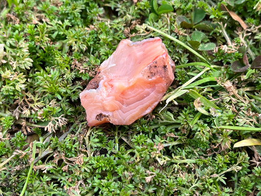 A piece of raw carnelian agate set on a patch of moss.