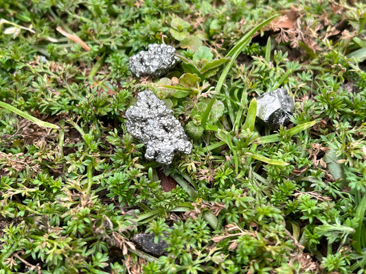 Three pieces of raw pyrite in moss and grass. They are all different shapes and sizes.