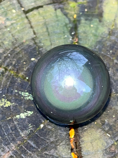 Rainbow Obsidian Sphere #7