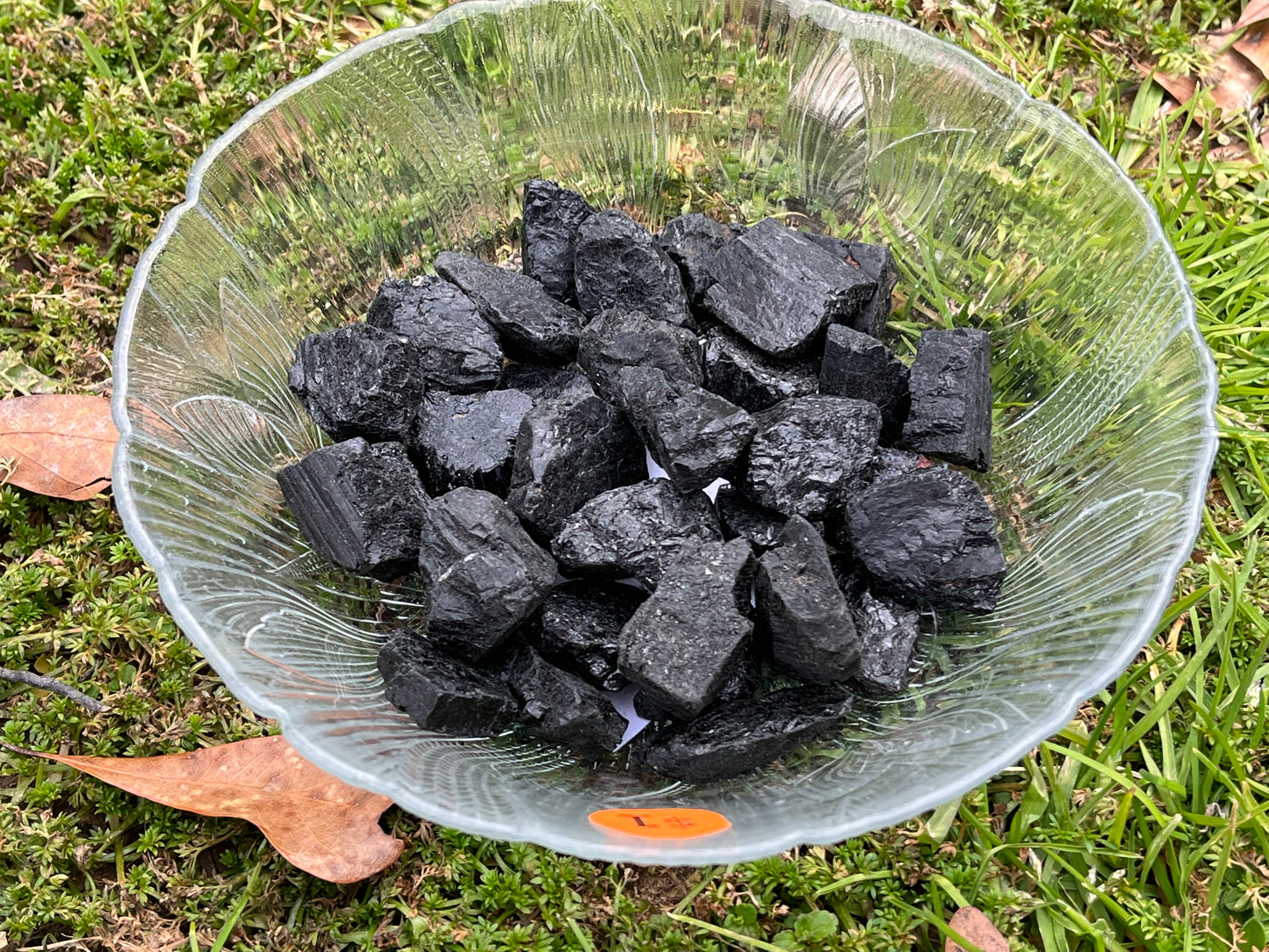 Several pieces of mini raw black tourmaline in a round glass bowl. The bowl is set on grass.