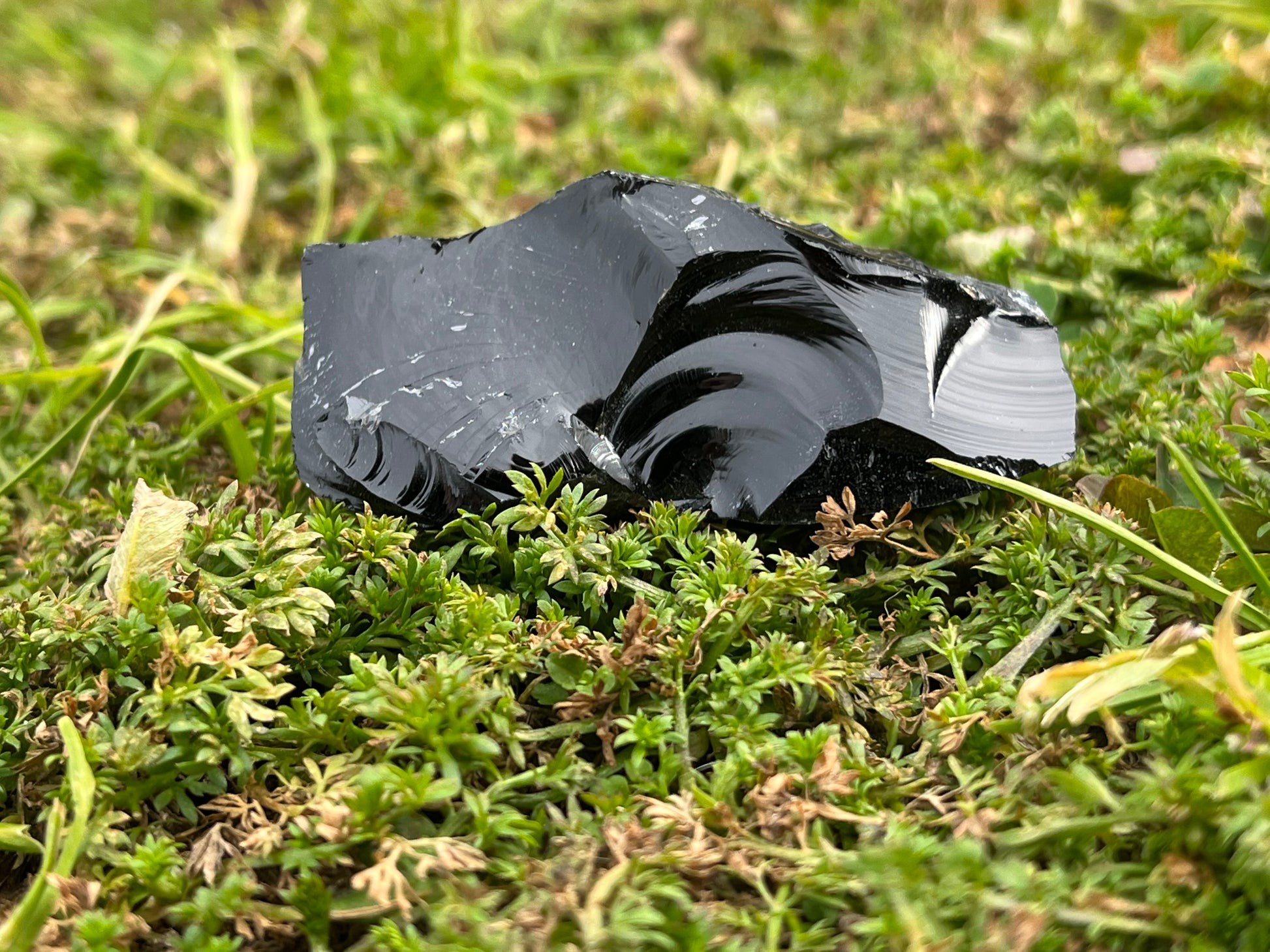 A reflective piece of raw black obsidian set in a patch of moss.