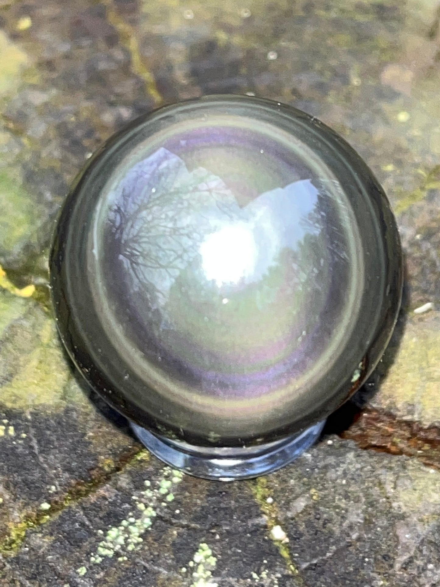 Rainbow Obsidian Sphere #7