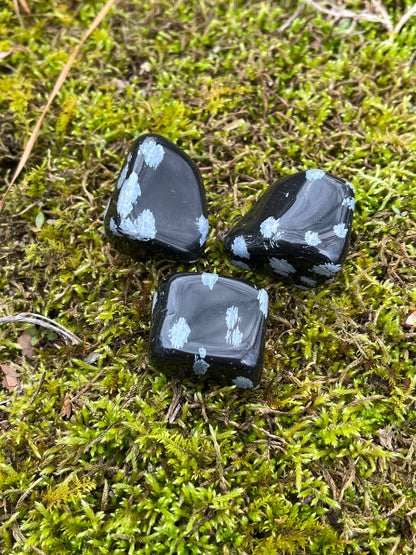 Snowflake Obsidian Tumble