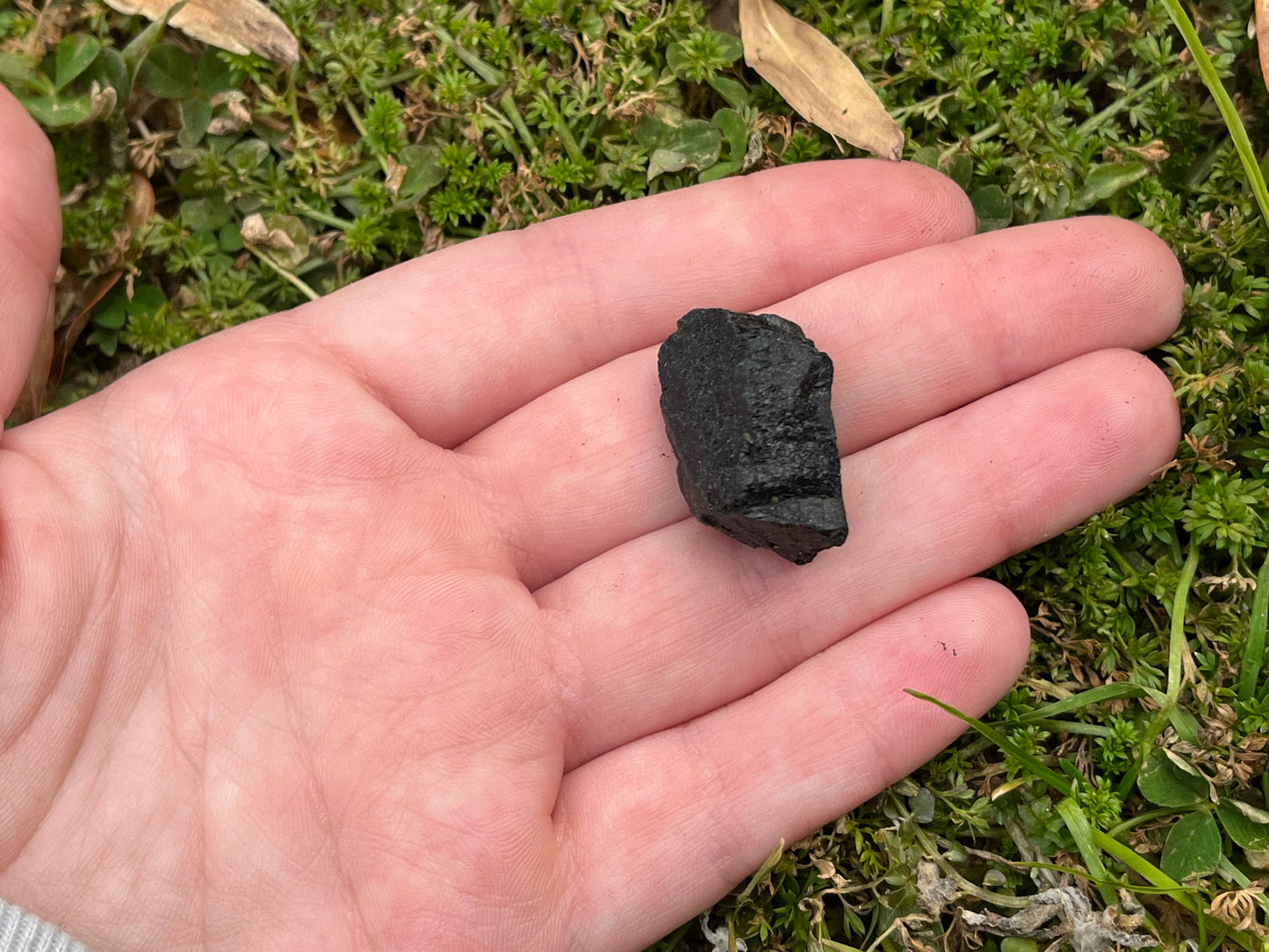 A small piece of raw black tourmaline on a hand to show size. It it about 1 inch wide and 0.5 inches long.