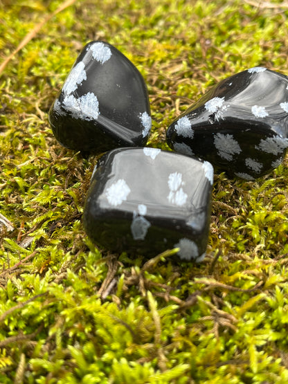 Snowflake Obsidian Tumble