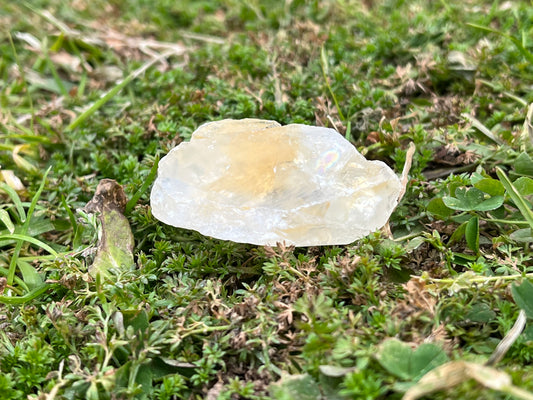 A piece of raw citrine on some moss.